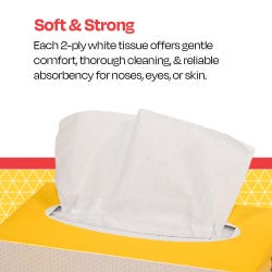 ANGLEIMAGES_FULLIMAGE