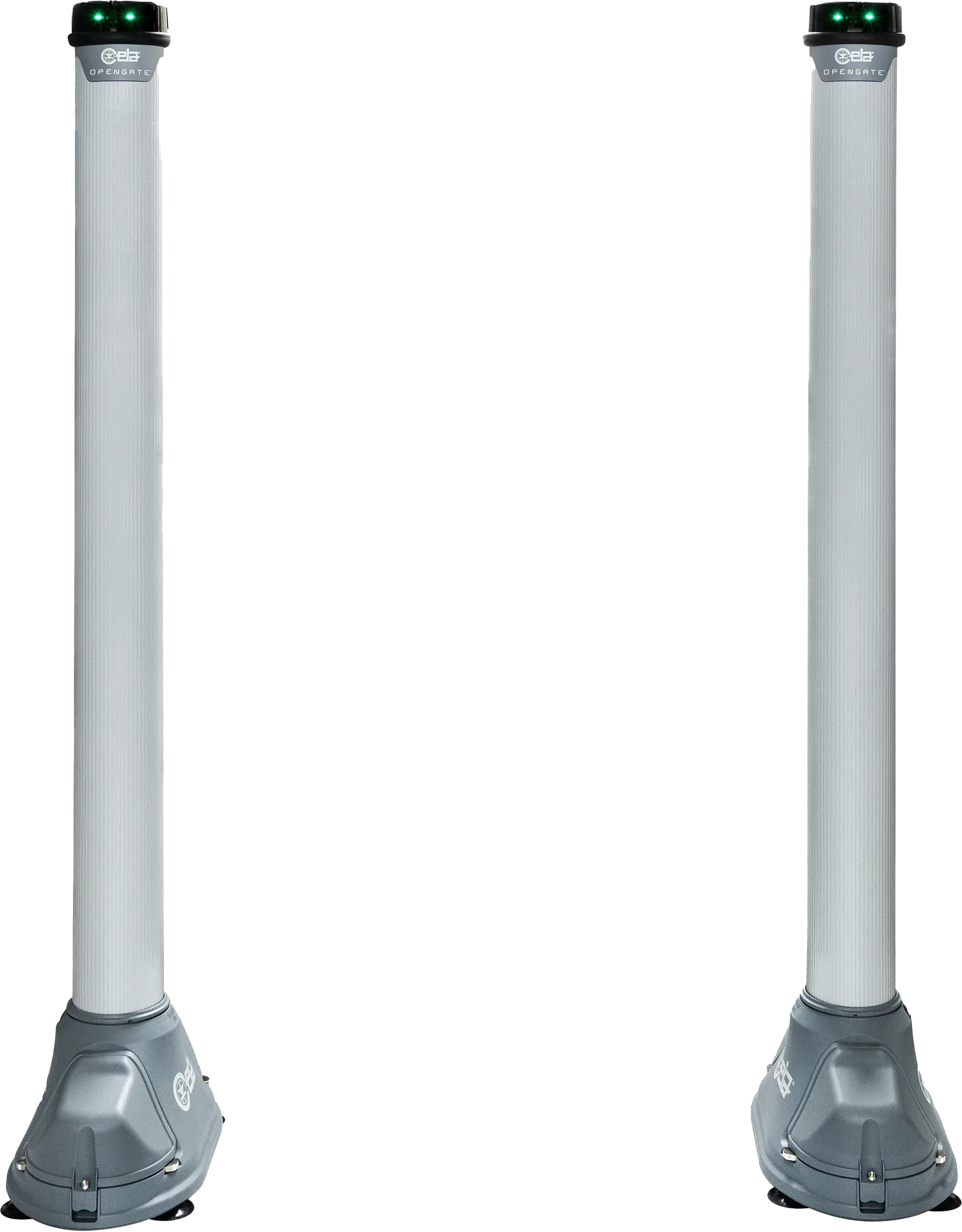 Metal Detection System
