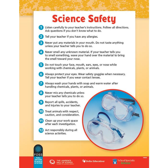 FOSS Science Safety Poster, 17 x 22 Inches