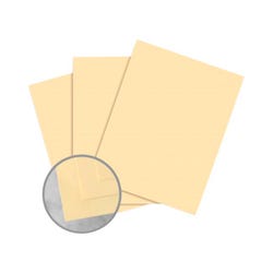 Exact Vellum Bristol Paper, 8-1/2 x 11 Inches, 67 lb, Ivory, 2000 Sheets