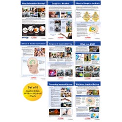 Image for Sportime Impaired Driving Bulletin Board Charts, Set of 8, Grades 5 to 12 from School Specialty