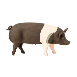 ANGLEIMAGES_FULLIMAGE