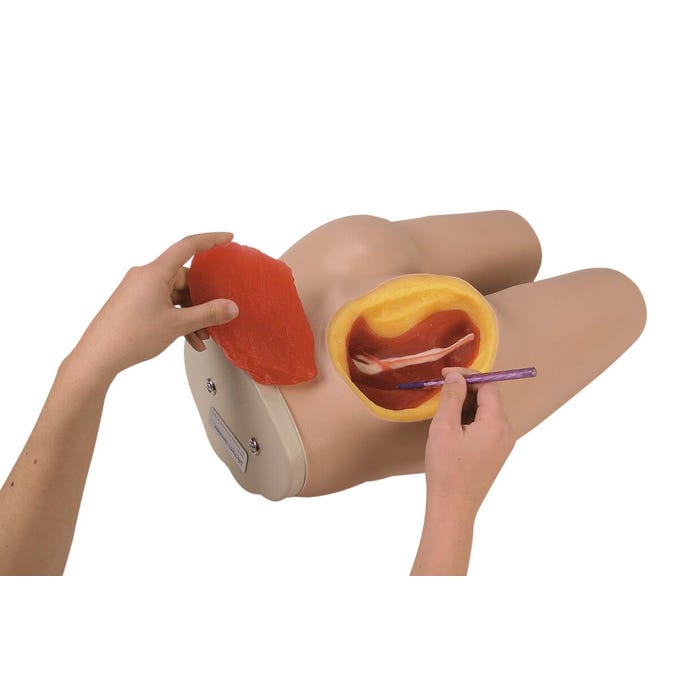 Life/form Intramuscular Injection Simulator