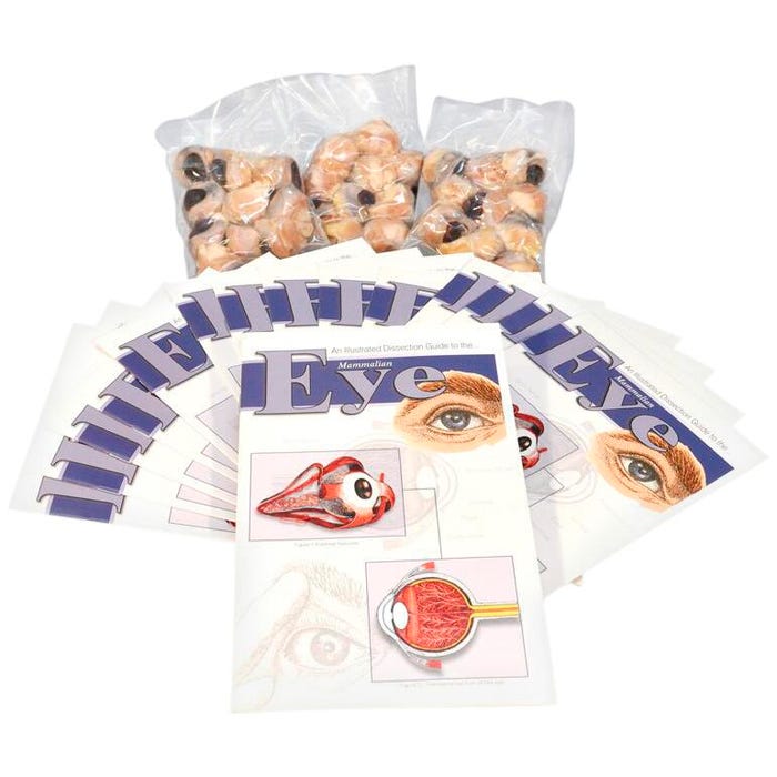 Frey Scientific Economy Plain Injected Preserved Sheep Eye Classroom Pack, Pack of 10
