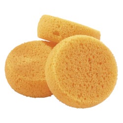 Royal Brush Sponges, 2-3/4 Inch Dia., Pack of 12