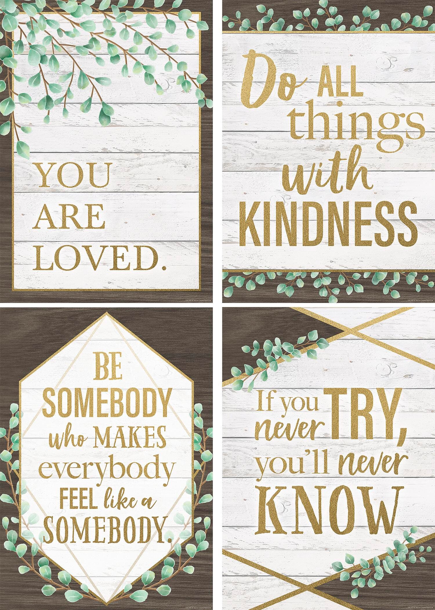 Teacher Created Resources Positive Poster, Set of 4, Item Number 2090600