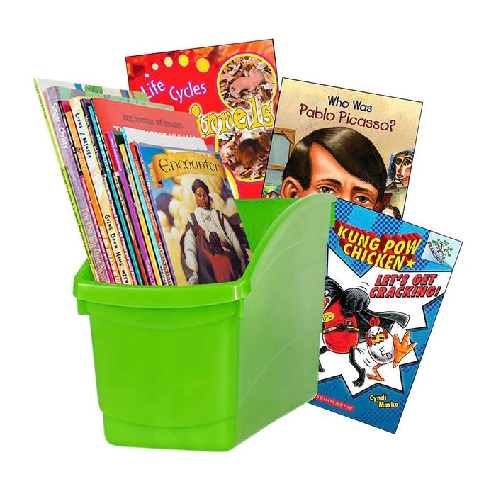 Achieve It! Essential Classroom Libraries, Grade 4, Set Of 200