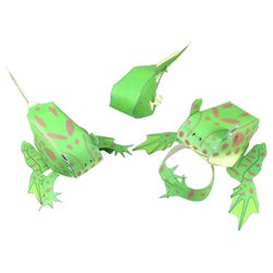 NewPath Learning Frog Life Cycle 3-D Model Kit, 1 Teacher Guide and 5 Student Guides 2087438