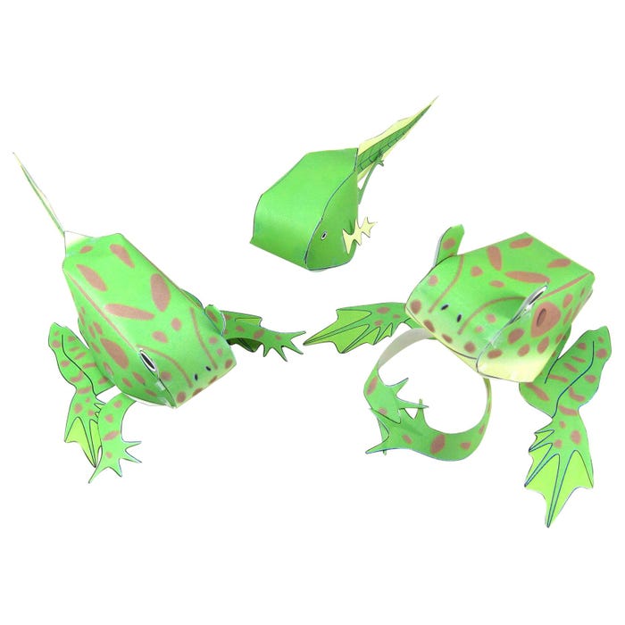 NewPath Learning Frog Life Cycle 3-D Model Making Kit