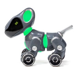 ANGLEIMAGES_FULLIMAGE