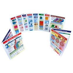 NewPath All About Fractions & Decimals Visual Learning Guide Set, Grades 3 - 6 1370654