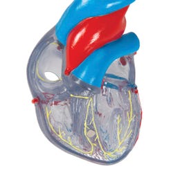 ANGLEIMAGES_FULLIMAGE