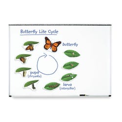 Learning Resources Giant Magnetic Butterfly Life Cycle Set, 9 Pieces 1397806