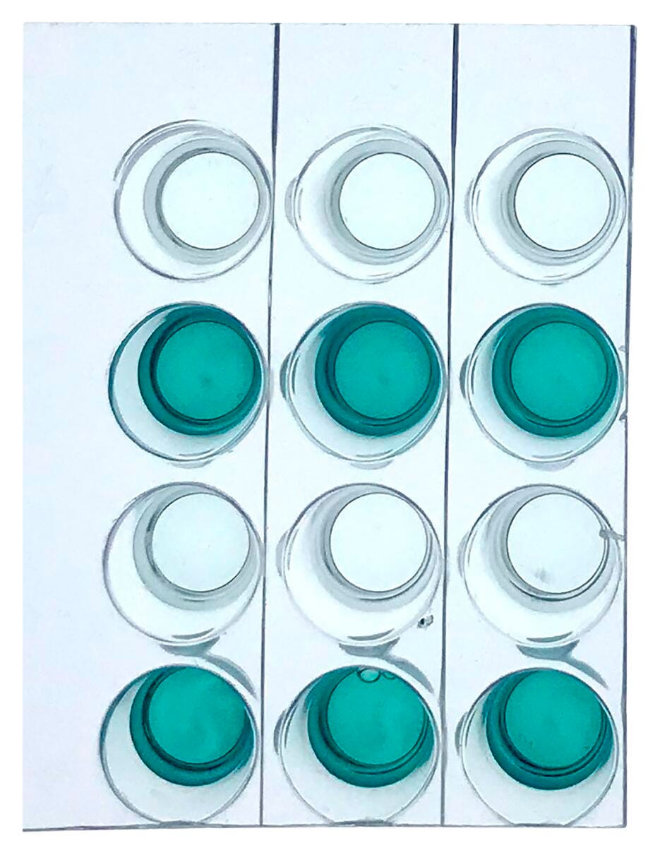 Health Science, Physiology, Item Number 2039701