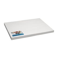 Canson Artist Series Mixed Media Paper, 138 lb, 18 x 24 Inches, 100 Sheets