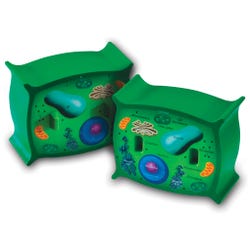 Learning Resources Cross-Section Plant Cell Model 034-2973