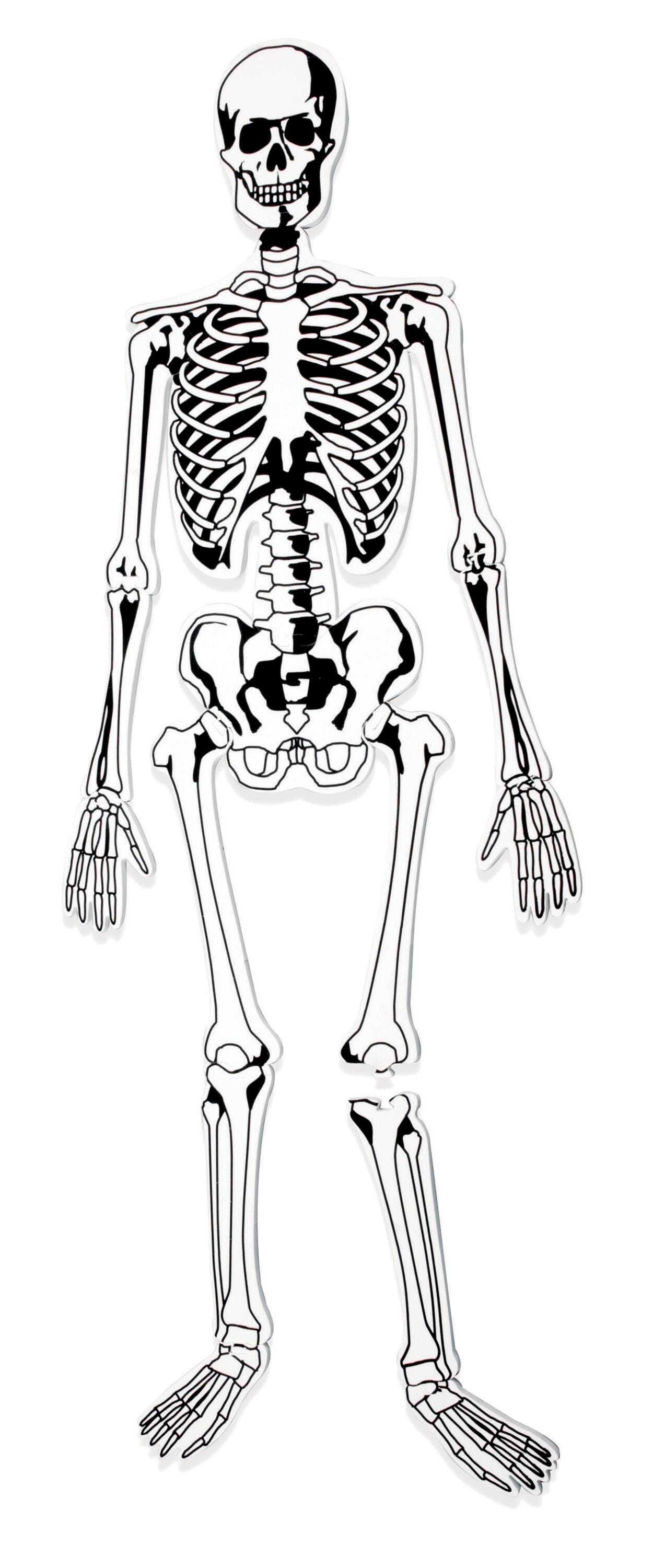 Learning Resources Skeleton Foam Floor Puzzle, 15 Pieces 2002446