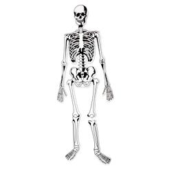Learning Resources Skeleton Foam Floor Puzzle, 15 Pieces 2002446