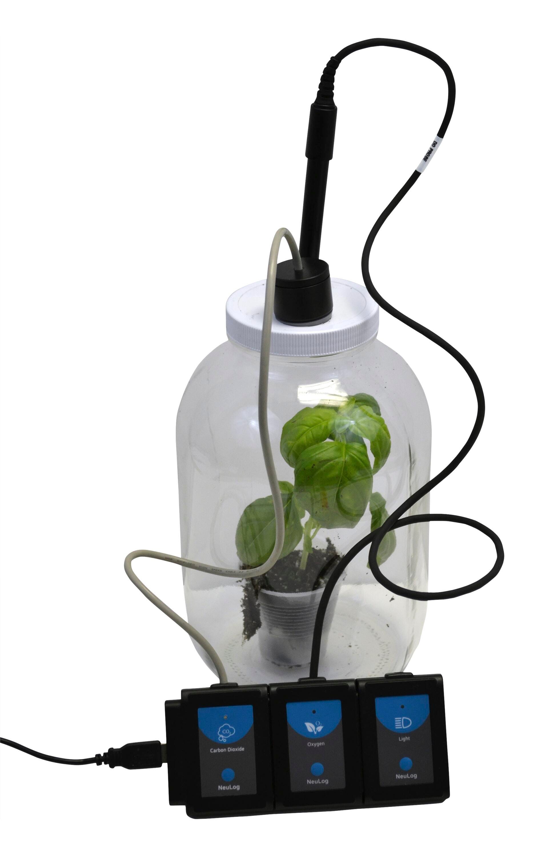 Image for Innovating Science Photosynthesis and Respiration Chamber from School Specialty