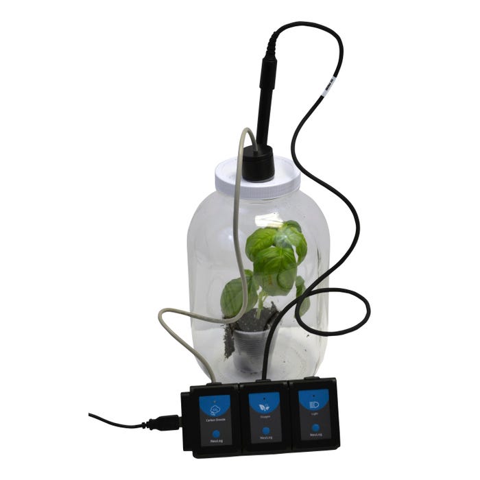 Innovating Science Photosynthesis and Respiration Chamber