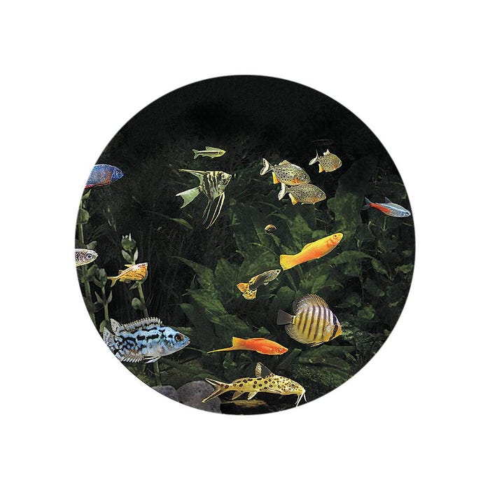 Optikinetics Opti Max Effect Wheel, Aquarium