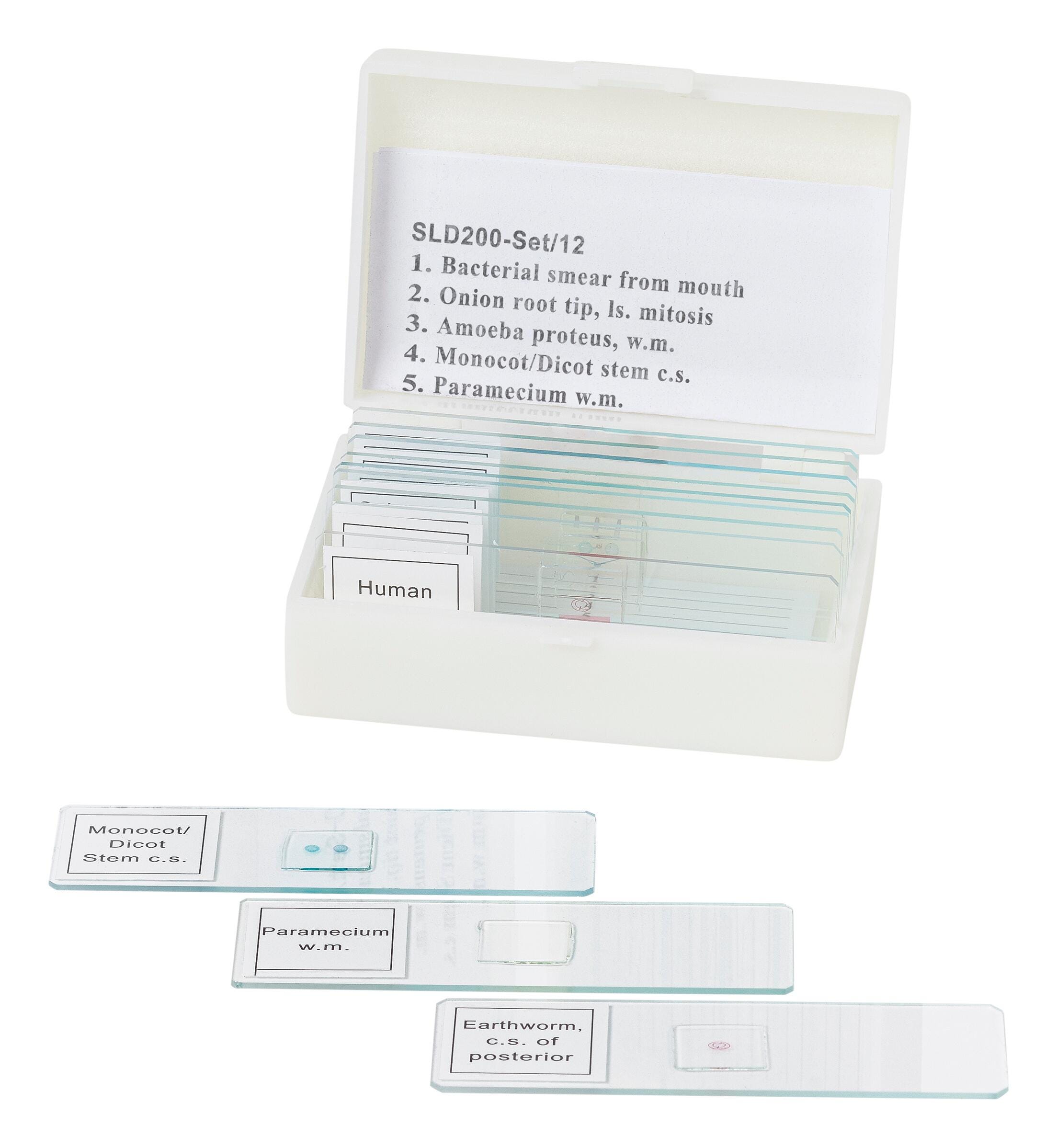 United Scientific Prepared Microslide Set, Set of 12
