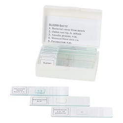 United Scientific Prepared Microslides, Set of 12