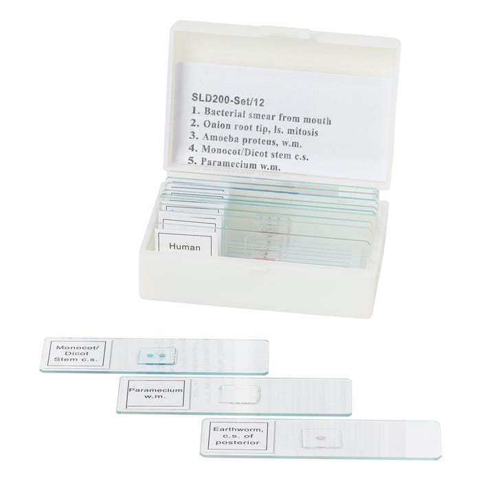 United Scientific Prepared Microslide Set, Set of 12