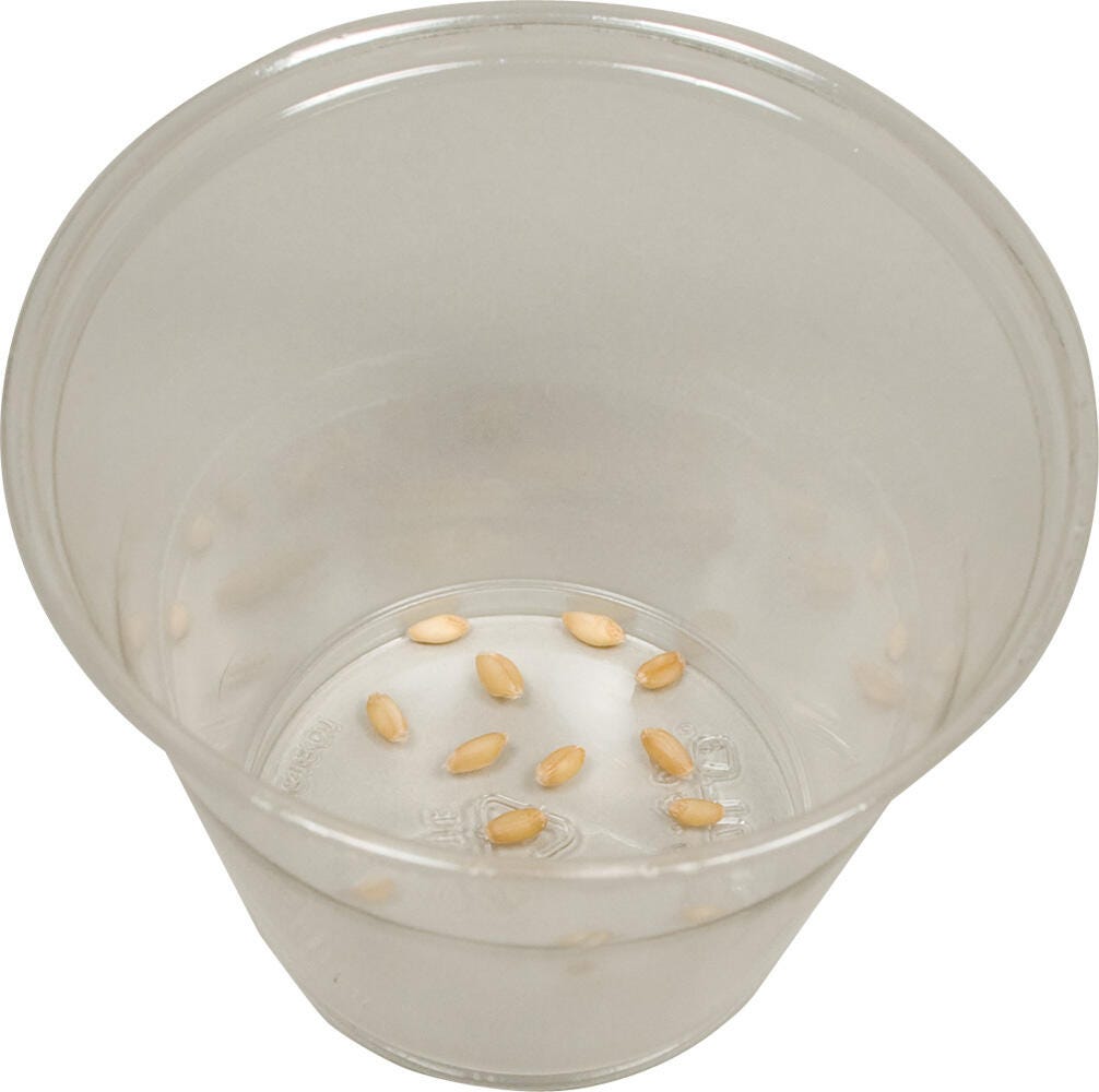  Item Number 190-1745