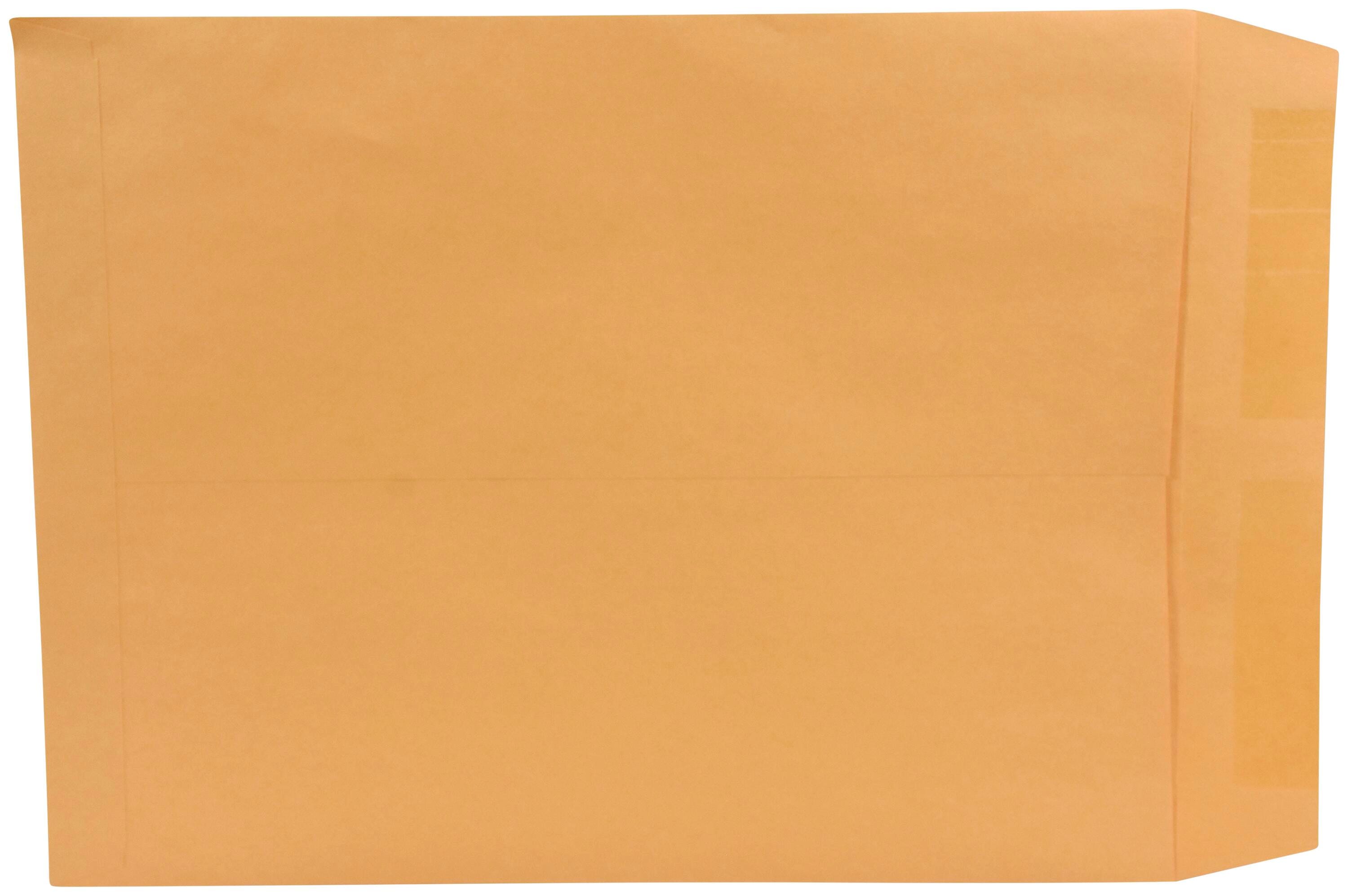 Image for School Smart No Clasp Envelopes with Gummed Flap, 10 x 13 Inches, Kraft Brown, Box of 100 from School Specialty