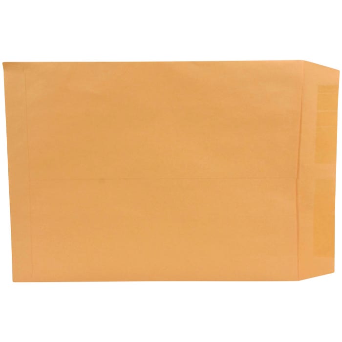 School Smart No Clasp Envelopes with Gummed Flap, 10 x 13 Inches, Kraft Brown, Box of 100