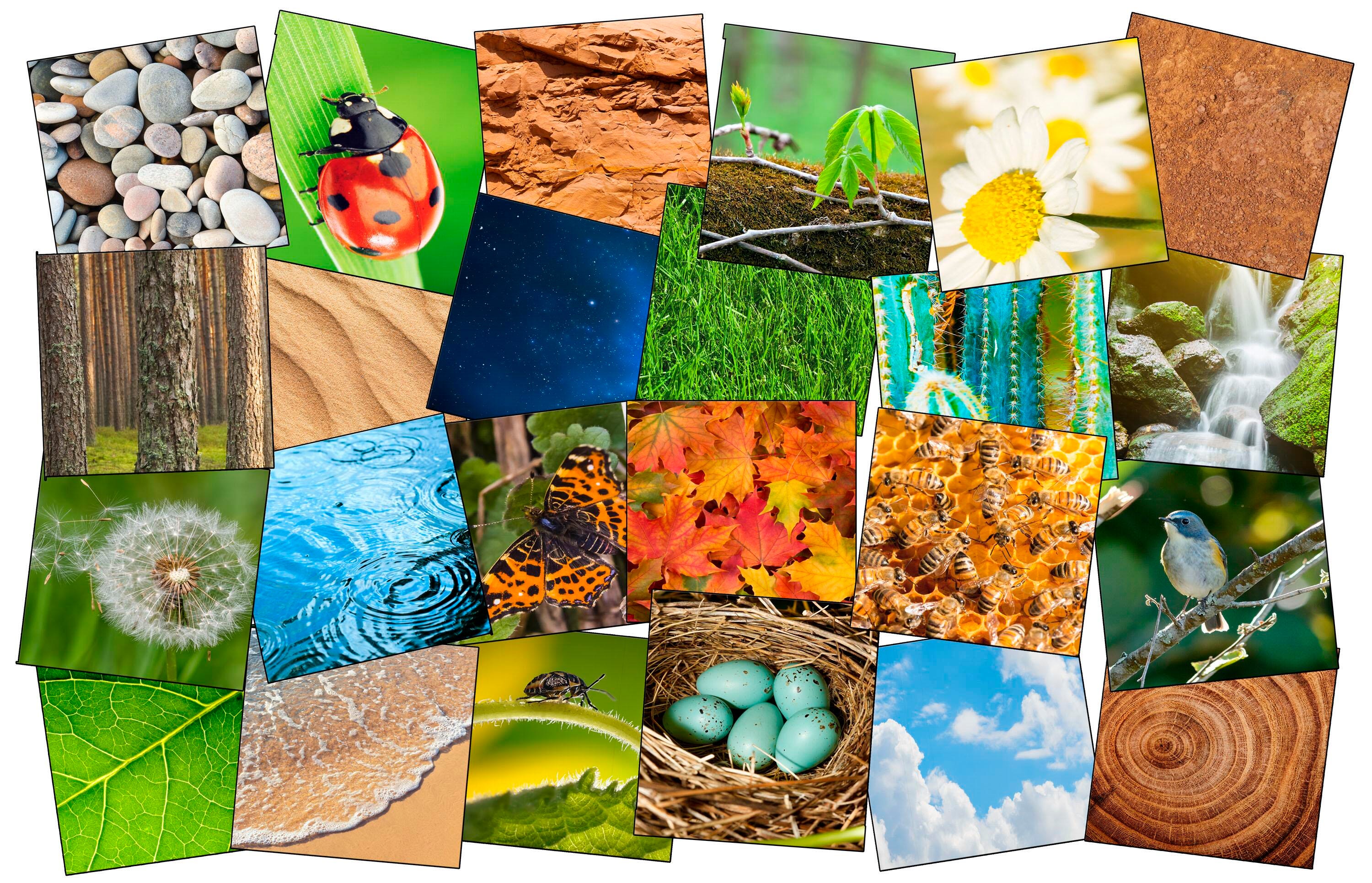 Animals, Nature Carpets And Rugs Supplies, Item Number 1595546