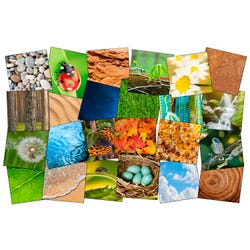Animals, Nature Carpets And Rugs Supplies, Item Number 1595546