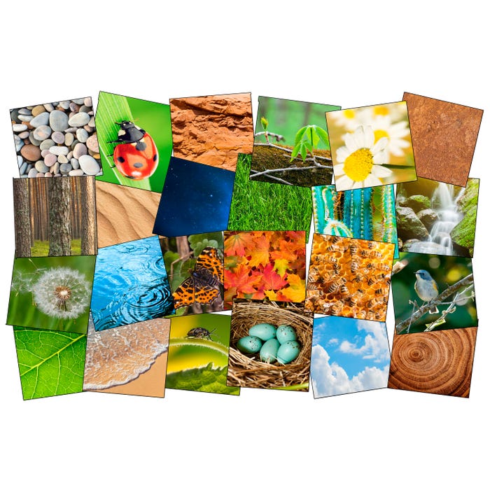 Flagship Carpets Nature's Beauty Stow-N-Go Carpet Squares, 16 x 16 Inches, Set of 24