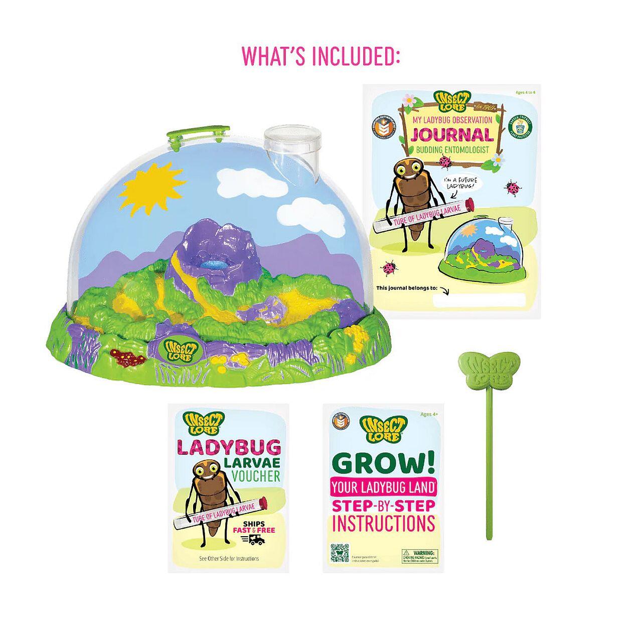 Image for Insect Lore Ladybug Land with Prepaid Voucher Growing Kit from School Specialty