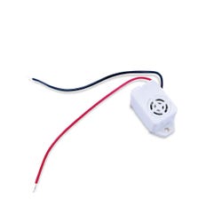 American Scientific Electrical Buzzer, 1.5V DC Battery