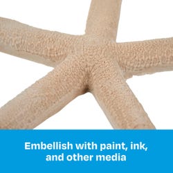 ANGLEIMAGES_FULLIMAGE