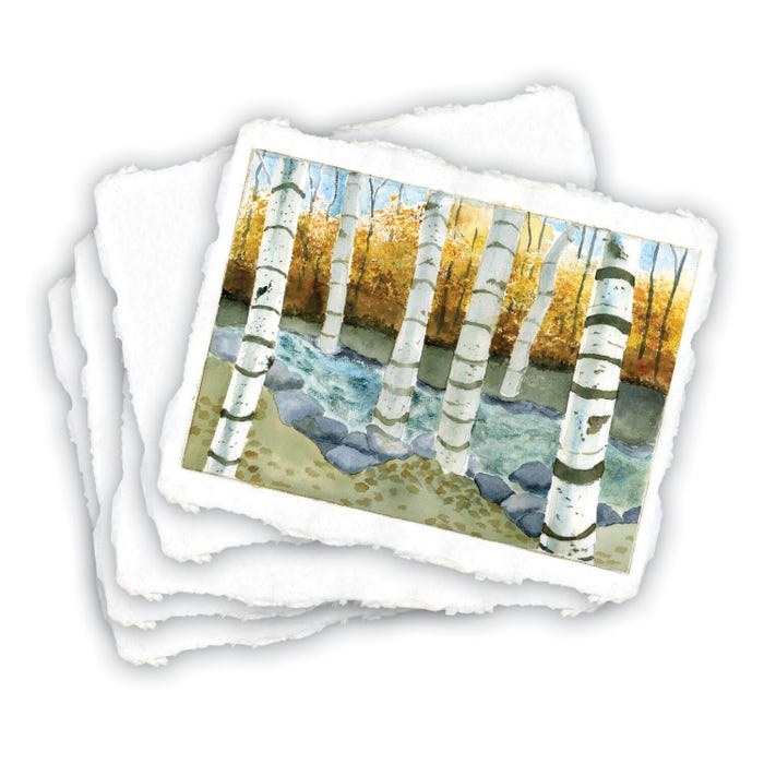 Shizen Design Punjab Watercolor Paper, 9 x 12 Inches, 90 lb, White, 25 Sheets