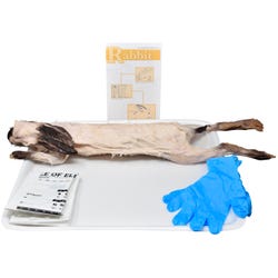 Frey Choice Dissection Kit, Rabbit (DBL), Item Number 2041246