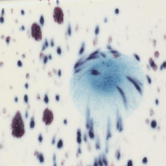 Sax Crystal Magic Glaze, 1 Pint, Peacock Eye