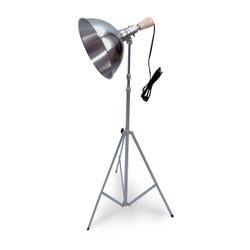 Testrite Fotolite Stand Light