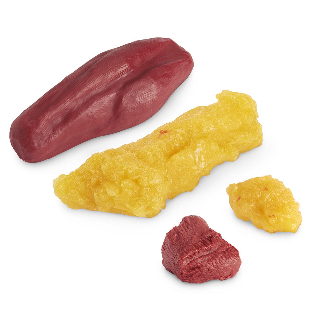 1-lb. & 5-lb. Fat Replicas and 1-lb. & 5-lb. Muscle Replicas 2218491