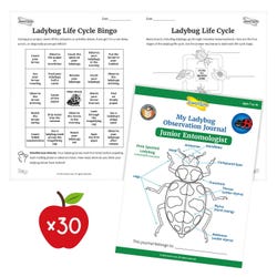 Ladybug STEM Activity Journal- Budding Entmolologist (30 Pack) 2147329