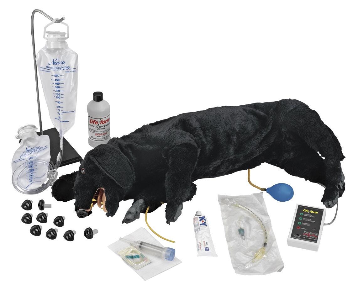 Advanced Sanitary CPR Dog