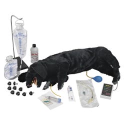 Life/formยฎ Advanced Sanitary CPR Dog