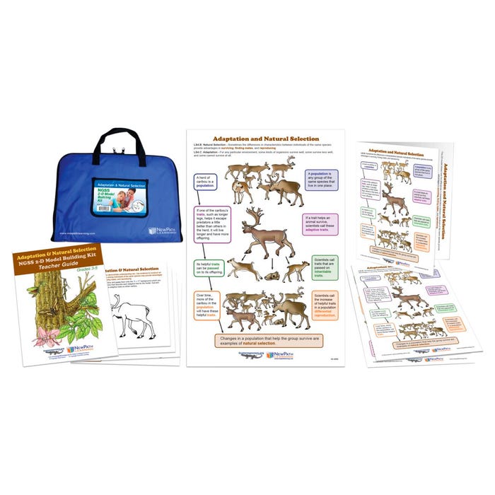 NewPath Learning Adaptation & Natural Selection NGSS 2D Model Building Kit