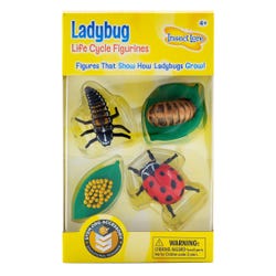 Zoology Equipment, Resources, Zoology Supplies, Item Number 087664