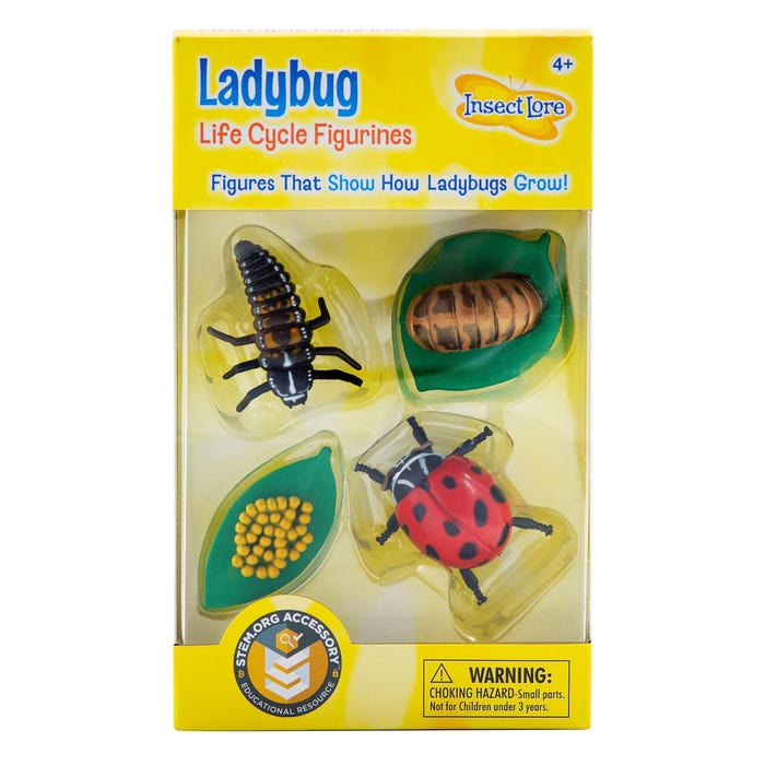 Insect Lore Ladybug Life Cycle Model, Set of 4