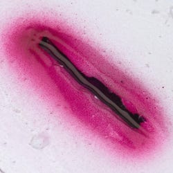 Laceration, Stick-On, Small, 1 cm