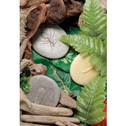 ANGLEIMAGES_FULLIMAGE